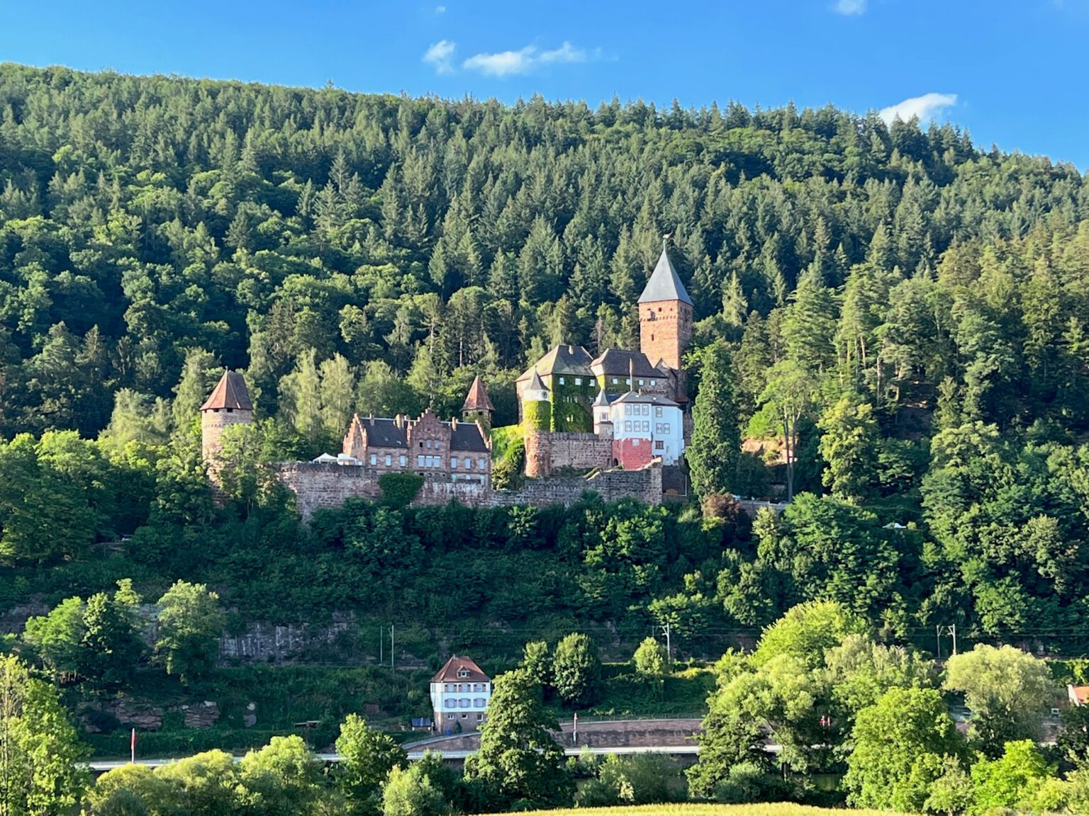 Schloss Zwingenberg